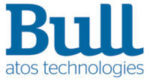 bull